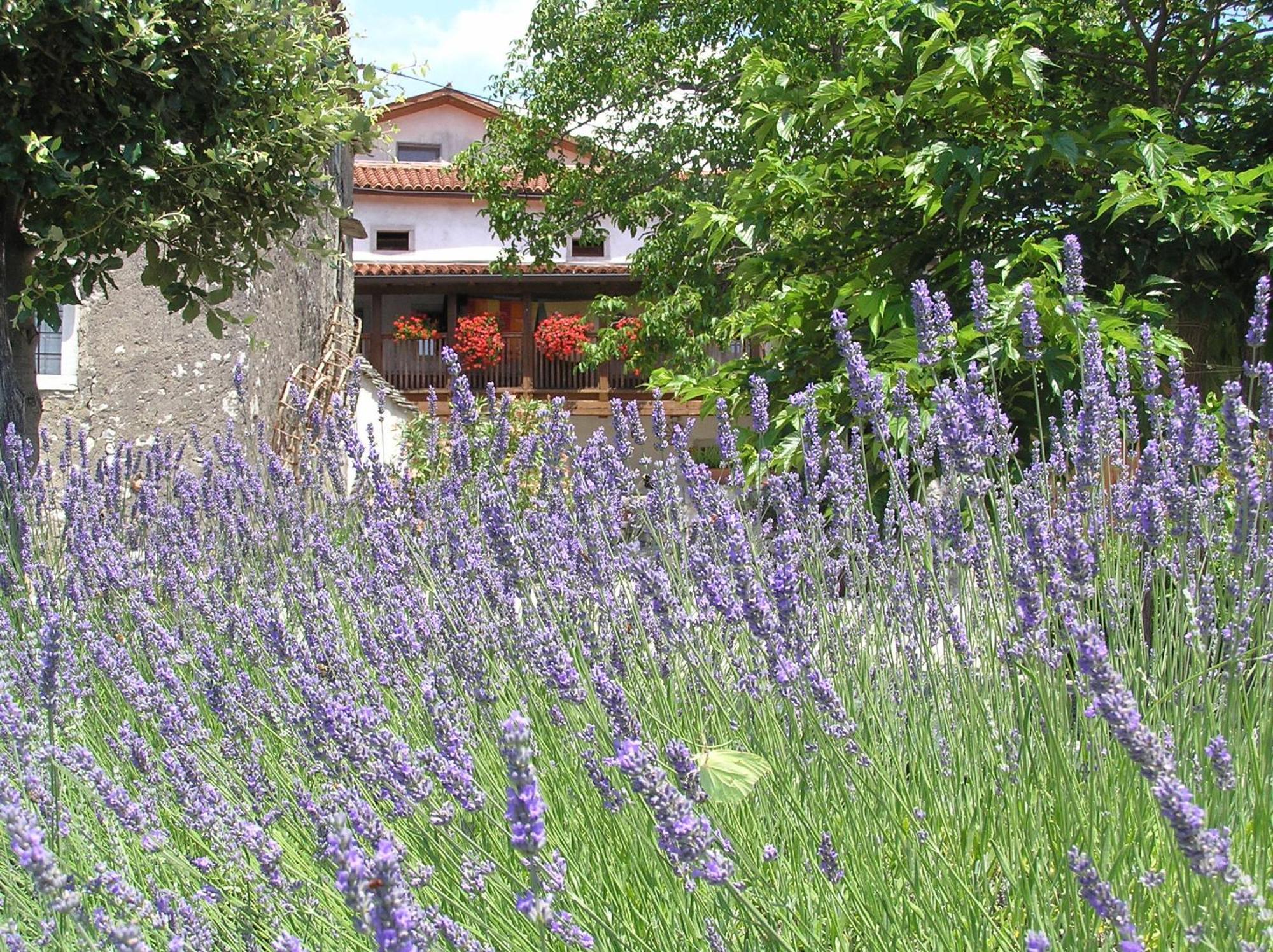 Pliskovica Youth Hostel Exteriör bild