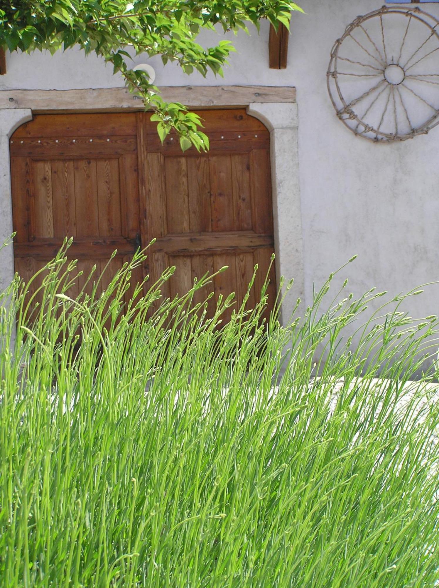 Pliskovica Youth Hostel Exteriör bild